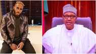 Kiddwaya says he will return to Nigeria when Buhari does, reveals he got Hollywood movie script