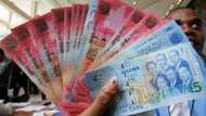Ghana cedi bounces back, becomes world’s best-performing currency