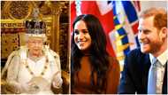 Queen finally speaks on Prince Harry's and Meghan Markle's decision to quit their royal duties (photo)