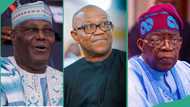 2027 election: “Why Atiku may dump PDP,” Top party chieftain speaks