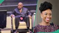 Shettima recalls moment Chimamanda was busy taking his picture, video trends