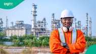 Another FG’s mega project, $10bn NLNG Train 7 hits 80% completion, begins training for Nigerians