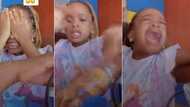 "She Wasn't Expecting It": Little Girl Weeps as Mum Gifts Her Plantain Chips, Video Goes Viral