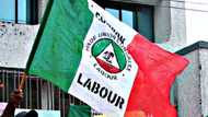 What are the problems of trade union in Nigeria?