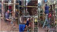 Former Nigerian deputy governor starts farming, shows off his yam barn in photos, many people react