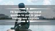 75 beautiful mermaid quotes to put in your Instagram caption