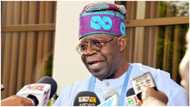 Tinubu: Don't come near presidency if you don't like money, Abe blasts Amaechi, supports ex-Lagos gov