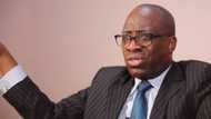 2023: PDP chieftain Showunmi says age should not be a factor in electing next president