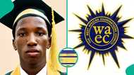 Boy who scored 297 in JAMB gets A1 in all 9 WAEC 2026 subjects, father's reaction stirs emotions