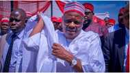 Heavy Blow for Kwankwaso as his top ally dumps him for APC, pledges support for Tinubu