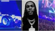 The king of live show: The moment Burna Boy shut down Rotterdam with spectacular entrance at sold-out concert