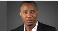 Ba Zan Daga Wa Gwamnatin Buhari Da Sauran Na Baya Kafa Ba, Sai Na Bincike Su, In Ji Sowore