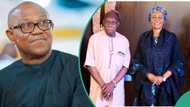Atiku’s ex-aide taunts Peter Obi over Obasanjo, Remi Tinubu’s meeting: “He’s having nightmare”