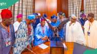 BREAKING: Amid Yoruba Nation agitation, Tinubu meets Afenifere leaders, details emerge