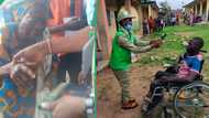 Off-cycle polls: Post-election report rates INEC's deployment of assistive tools for PWDs