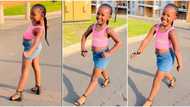 "She is beautiful": Confident little girl catwalks like professional model, video of her performance goes viral