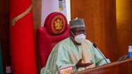 2023: The potentials of Senator Ahmad Lawan by Hassan Kyari