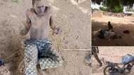 An damke masu leken asiri da kaiwa yan bindiga kayayyaki a Sokoto