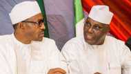 2019 elections: 145 groups dump Atiku, support Buhari