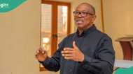 Peter Obi reacts as CBN increases interest rate: “It’ll cause job loss, worsen economy”