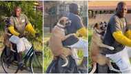 "Enjoyment unlimited": Man causes stir in street, carries his dog on bicycle as they cruise around in video