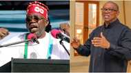 2023 Election: Real reason ‘why Peter Obi couldn’t beat Tinubu’, ex-Federal commissioner speaks