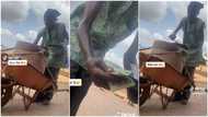 "Na packaging be this": Hardworking man sells pure water like jollof rice from cooler, shocks people