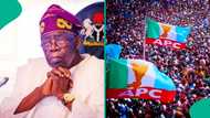 Tinubu ya aika sako ga 'yan APC ana shirin fara zaben fitar da gwani