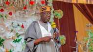 2023: Fashola finally breaks silence on Tinubu, reveals when APC leader will declare presidential ambition