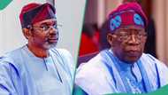 “Why north should support Tinubu’s 2027 re-election bid,” Gbajabiamila speaks