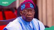Nigeria’s Senate Approves New Tax Laws, Set to Reshape Revenue System