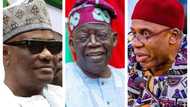 2023 polls: After Tinubu's meeting with Wike, is Amaechi gradually losing relevance? Truth emerges