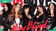 Where is the Mob Wives' cast now? Keeping up with the ensemble
