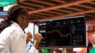 Stock market starts week with N3.45bn gain, 5 top companies emerge