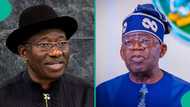 2027 election: "Only Jonathan has a chance against Tinubu": Netizens reply Oseni Rufai