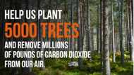 LandWey’s Social Impact Initiative Set to Protect the Environment and Combat Climate Change