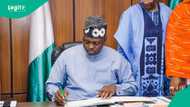 Jam'iyyun adawa 3 Sun haɗa kai da APC domin yallata Shugaba Tinubu, an jero sunayensu