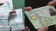 NIN: Anxiety as INEC set to make national ID compulsory for voters' registration