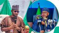 'Abin da ADC ke gadara da shi a Zamfara domin kawar da APC a zaɓen 2027'