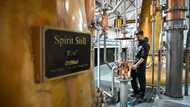 Distillery layoffs send shudders across remote Scottish island