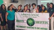 "MMM is back": Photo of people showcasing Ponzi scheme surfaces online, promises 36% profit