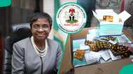 NAFDAC busts fake malaria drugs shipment worth N1.2bn falsely declared as spare parts