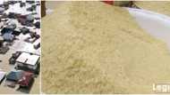 Legit.ng weekly price check: Traders, buyers complain bitterly as bag of rice sells for N50,000 in Bayelsa