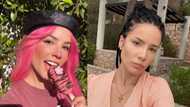 Popular US singer Halsey announces first pregnancy