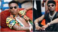 Dem no born am well not to go: Nigerians react as video shows moment Wizkid summoned young lady in club