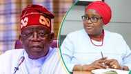 FG releases names of over 20,000 companies qualified to apply for govt contracts in 2023, sets expiry date