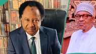 Shehu Sani speaks as claim $3.4bn IMF loan disappeared under Buhari surfaces