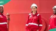 Good news for investors as Aradel Holdings posts impressive profit for 2024