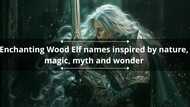 100+ enchanting Wood Elf names inspired by nature, magic, myth and wonder