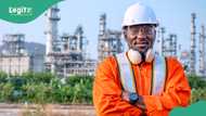 Petroleum workers write Dangote, vows to protect refinery against economic saboteurs